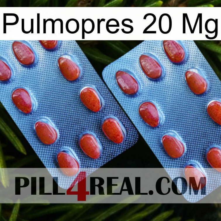 Pulmopres 20Mg 05